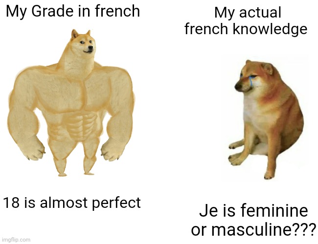6 th image | My Grade in french; My actual french knowledge; 18 is almost perfect; Je is feminine or masculine??? | image tagged in memes,buff doge vs cheems,french,the more you know,france,idk | made w/ Imgflip meme maker