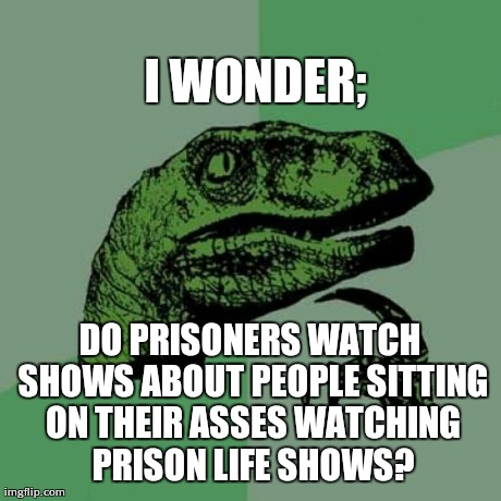 Philosoraptor on prison life shows. | I WONDER; DO PRISONERS WATCH SHOWS ABOUT PEOPLE SITTING ON THEIR ASSES WATCHING PRISON LIFE SHOWS? | image tagged in memes,philosoraptor | made w/ Imgflip meme maker