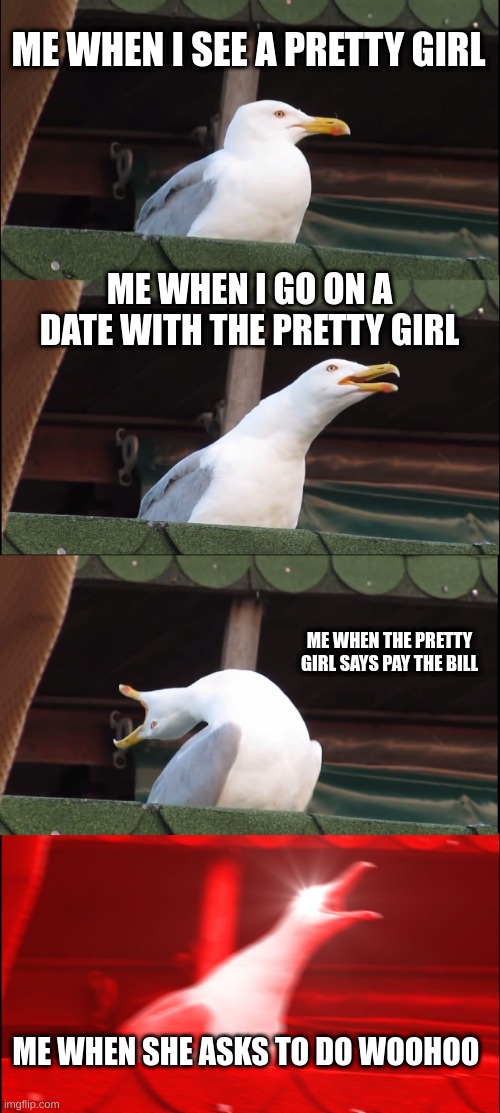 Inhaling Seagull Meme | ME WHEN I SEE A PRETTY GIRL; ME WHEN I GO ON A DATE WITH THE PRETTY GIRL; ME WHEN THE PRETTY GIRL SAYS PAY THE BILL; ME WHEN SHE ASKS TO DO WOOHOO | image tagged in memes,inhaling seagull | made w/ Imgflip meme maker