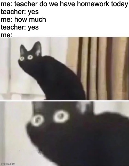 oh no | me: teacher do we have homework today
teacher: yes
me: how much 
teacher: yes
me: | image tagged in oh no black cat,school,oh no,sad | made w/ Imgflip meme maker