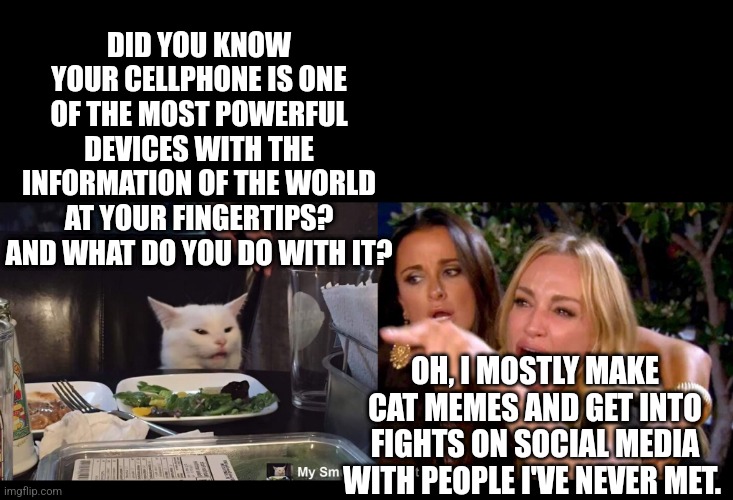 DID YOU KNOW YOUR CELLPHONE IS ONE OF THE MOST POWERFUL DEVICES WITH THE INFORMATION OF THE WORLD AT YOUR FINGERTIPS? AND WHAT DO YOU DO WITH IT? OH, I MOSTLY MAKE CAT MEMES AND GET INTO FIGHTS ON SOCIAL MEDIA WITH PEOPLE I'VE NEVER MET. | image tagged in smudge the cat | made w/ Imgflip meme maker