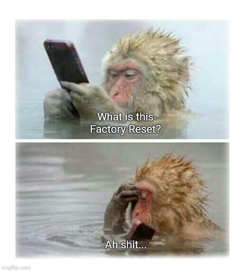 Factory Reset | What is this Factory Reset? Ah shit... | image tagged in memes,monkey,phone,reset | made w/ Imgflip meme maker