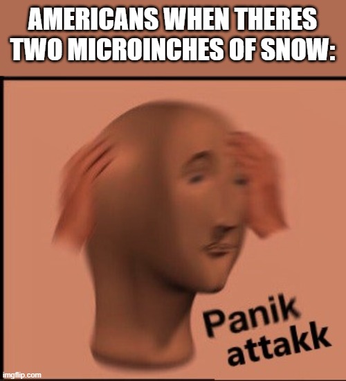 Panik attakk | AMERICANS WHEN THERES TWO MICROINCHES OF SNOW: | image tagged in panik attakk | made w/ Imgflip meme maker