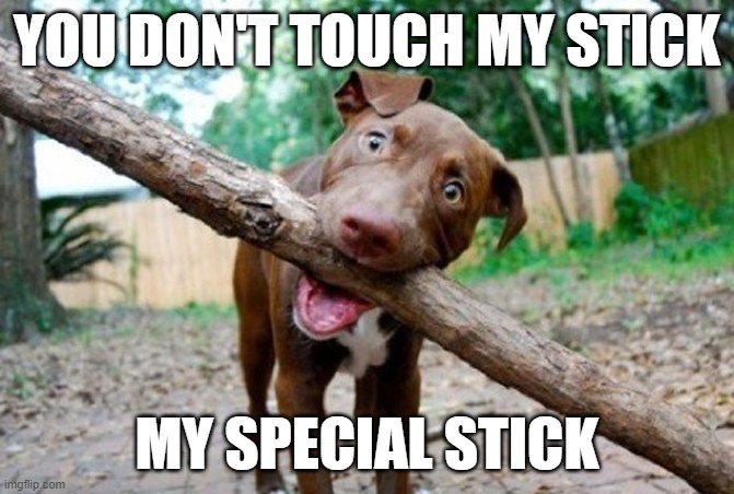 Dog | YOU DON'T TOUCH MY STICK; MY SPECIAL STICK | image tagged in dog stick,funny memes,dogs | made w/ Imgflip meme maker