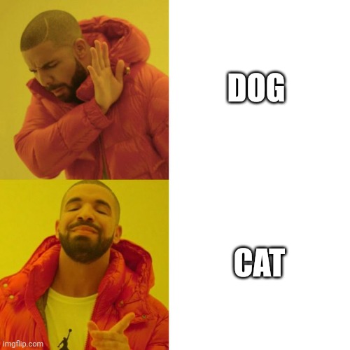 Operation Cat | DOG; CAT | image tagged in drake blank | made w/ Imgflip meme maker