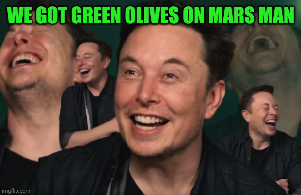 Elon Musk Laughing | WE GOT GREEN OLIVES ON MARS MAN | image tagged in elon musk laughing | made w/ Imgflip meme maker