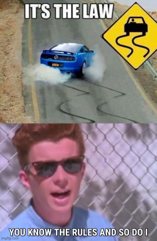 well the rules are the rules | image tagged in rick astley you know the rules | made w/ Imgflip meme maker