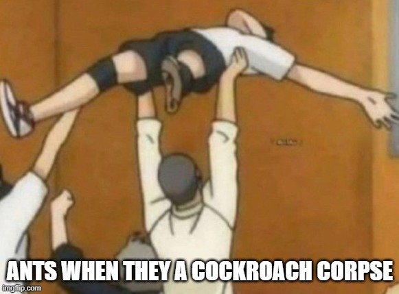ants | ANTS WHEN THEY A COCKROACH CORPSE | image tagged in memes | made w/ Imgflip meme maker