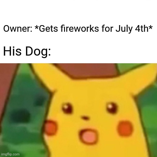 Surprised Pikachu | Owner: *Gets fireworks for July 4th*; His Dog: | image tagged in memes,surprised pikachu | made w/ Imgflip meme maker