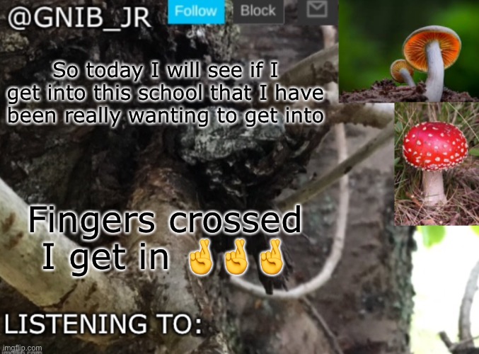 I can’t express how badly I want to get into this school | So today I will see if I get into this school that I have been really wanting to get into; Fingers crossed I get in 🤞🤞🤞 | image tagged in gnib_jr's new temp,i will get into ivy academy | made w/ Imgflip meme maker