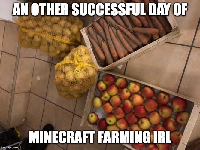 lol , but the potato bags were heavy to cary | image tagged in minecraft,memes in real life,farming,funny,funny memes | made w/ Imgflip meme maker