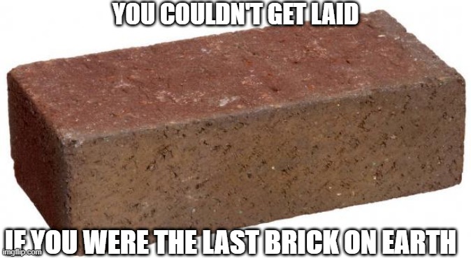 brick | YOU COULDN'T GET LAID; IF YOU WERE THE LAST BRICK ON EARTH | image tagged in brick | made w/ Imgflip meme maker