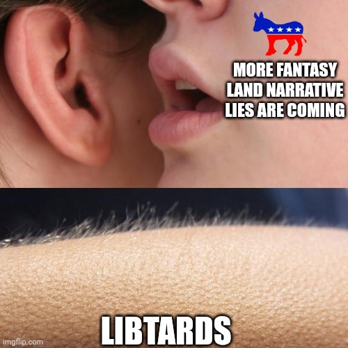 Whisper and Goosebumps | MORE FANTASY LAND NARRATIVE LIES ARE COMING; LIBTARDS | image tagged in whisper and goosebumps | made w/ Imgflip meme maker