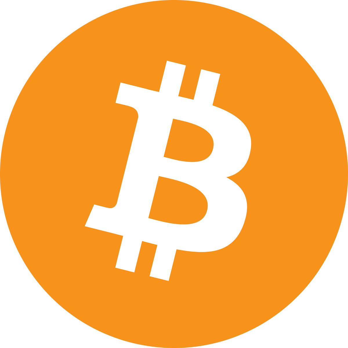 High Quality Bitcoin Logo Blank Meme Template