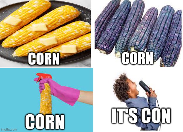 Dead meme  R.I.P | CORN; CORN; IT'S CON; CORN | image tagged in corn | made w/ Imgflip meme maker