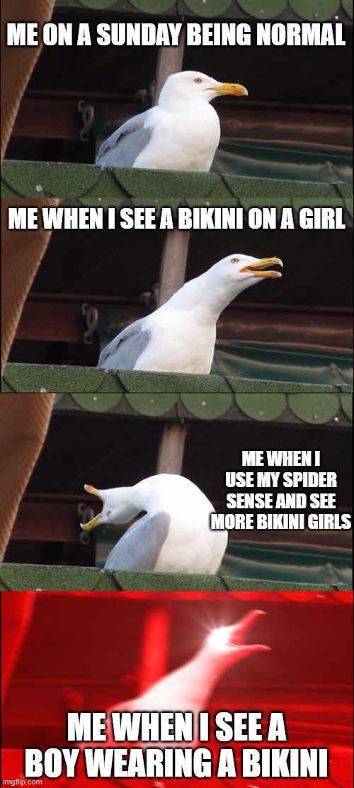 Inhaling Seagull | ME ON A SUNDAY BEING NORMAL; ME WHEN I SEE A BIKINI ON A GIRL; ME WHEN I USE MY SPIDER SENSE AND SEE MORE BIKINI GIRLS; ME WHEN I SEE A BOY WEARING A BIKINI | image tagged in memes,inhaling seagull | made w/ Imgflip meme maker