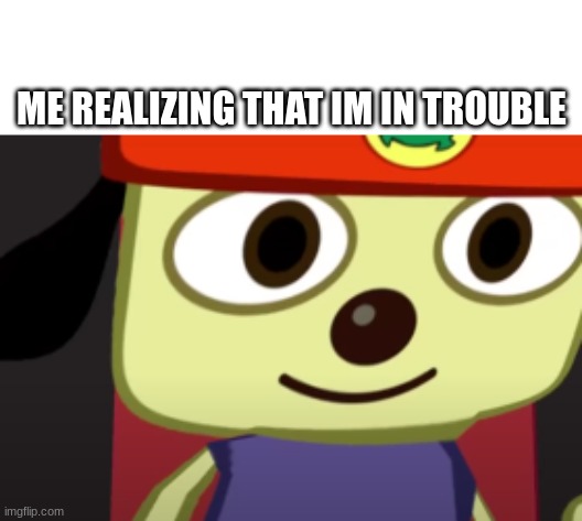 im scared | ME REALIZING THAT IM IN TROUBLE | image tagged in parapa | made w/ Imgflip meme maker