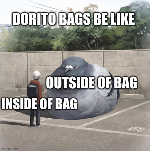 doritos, air flavor, now with 100% less chips | DORITO BAGS BE LIKE; OUTSIDE OF BAG; INSIDE OF BAG | image tagged in beeg birb | made w/ Imgflip meme maker