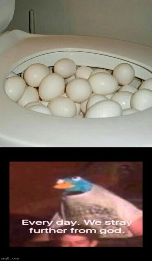 Toilet eggs | image tagged in everyday we stray further from god,eggs,egg,cursed image,memes,toilet | made w/ Imgflip meme maker