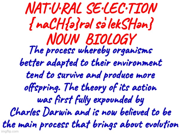 Humans Have Been Selected | NAT·U·RAL SE·LEC·TION
{ˈnaCH{ə}rəl səˈlekSHən}
NOUN  BIOLOGY; The process whereby organisms better adapted to their environment tend to survive and produce more offspring. The theory of its action was first fully expounded by Charles Darwin and is now believed to be the main process that brings about evolution | image tagged in natural selection,we're all doomed,doomed,pointless,human stupidity,memes | made w/ Imgflip meme maker