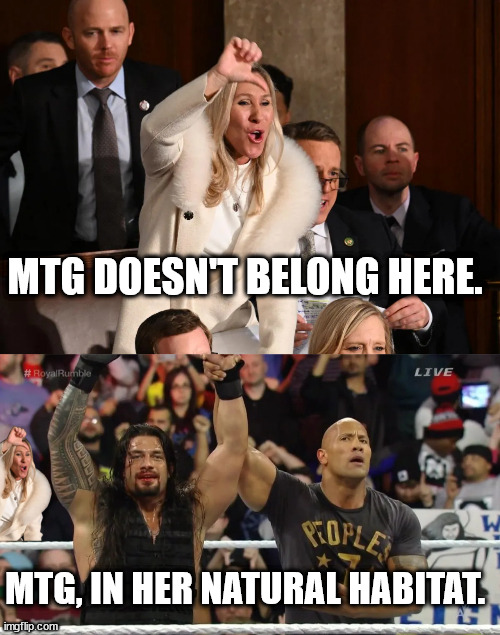 MTG. Drunken WWE fan who got lost on her way home. | MTG DOESN'T BELONG HERE. MTG, IN HER NATURAL HABITAT. | image tagged in mtg blithering idiot,wwe is wrestling like fox is news | made w/ Imgflip meme maker