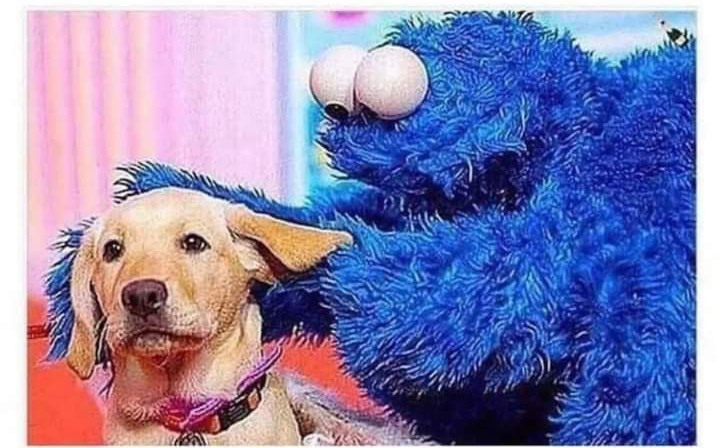 High Quality Cookie monster dog Blank Meme Template