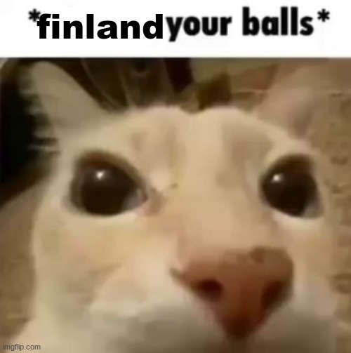 X your balls | finland | image tagged in x your balls | made w/ Imgflip meme maker