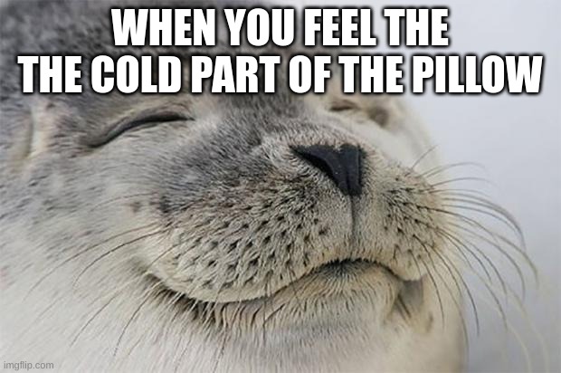 Satisfied Seal | WHEN YOU FEEL THE THE COLD PART OF THE PILLOW | image tagged in memes,satisfied seal | made w/ Imgflip meme maker