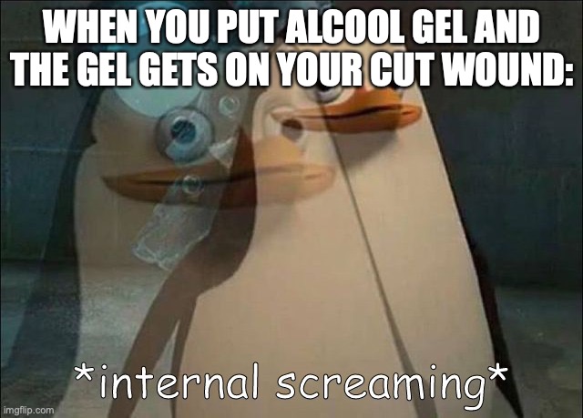 this always happens to me at school | WHEN YOU PUT ALCOOL GEL AND THE GEL GETS ON YOUR CUT WOUND: | image tagged in private internal screaming,school | made w/ Imgflip meme maker