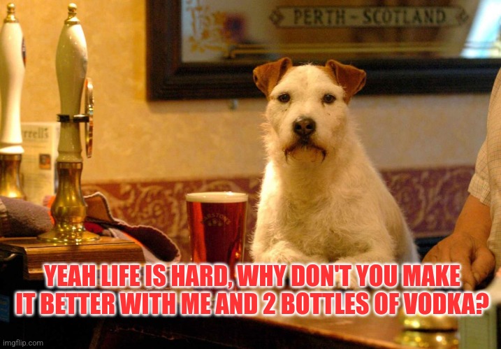 dog at bar | YEAH LIFE IS HARD, WHY DON'T YOU MAKE IT BETTER WITH ME AND 2 BOTTLES OF VODKA? | image tagged in dog at bar | made w/ Imgflip meme maker