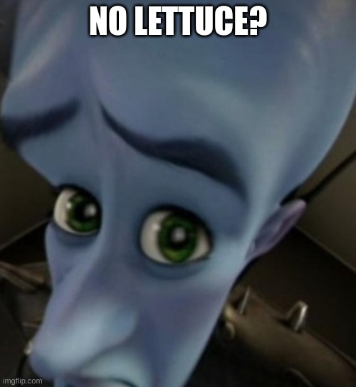 ? | NO LETTUCE? | image tagged in megamind no bitches | made w/ Imgflip meme maker