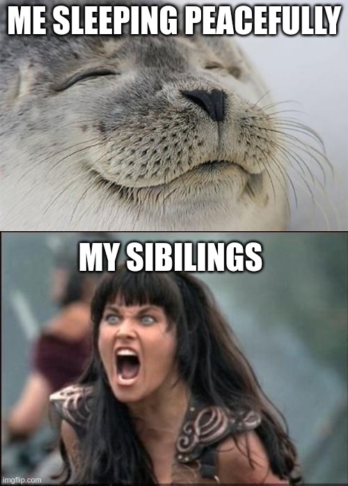 ME SLEEPING PEACEFULLY; MY SIBILINGS | image tagged in memes,satisfied seal,angry xena | made w/ Imgflip meme maker