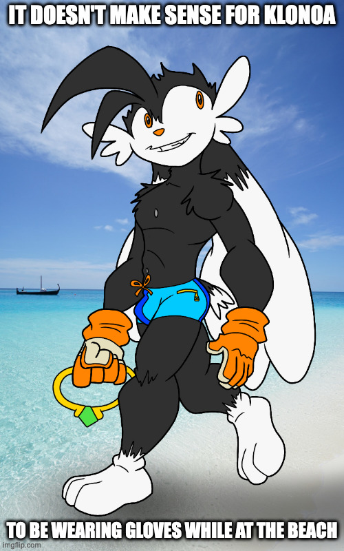 Klonoa at the Beach | IT DOESN'T MAKE SENSE FOR KLONOA; TO BE WEARING GLOVES WHILE AT THE BEACH | image tagged in klonoa,beach,memes | made w/ Imgflip meme maker