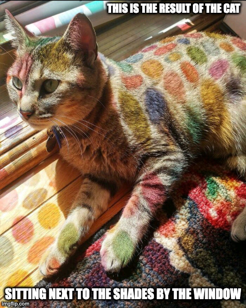 Spotted Cat | THIS IS THE RESULT OF THE CAT; SITTING NEXT TO THE SHADES BY THE WINDOW | image tagged in cats,memes | made w/ Imgflip meme maker