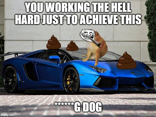 lamborghini meme | YOU WORKING THE HELL HARD JUST TO ACHIEVE THIS; ******G DOG | image tagged in doge | made w/ Imgflip meme maker