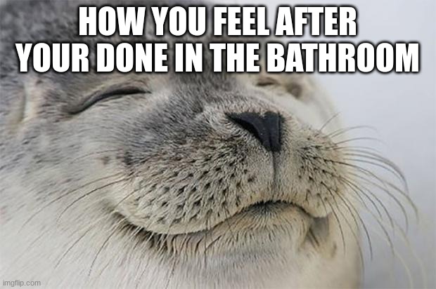 Satisfied Seal | HOW YOU FEEL AFTER YOUR DONE IN THE BATHROOM | image tagged in memes,satisfied seal | made w/ Imgflip meme maker