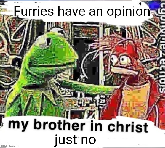 This is real | Furries have an opinion; just no | image tagged in my brother in christ | made w/ Imgflip meme maker