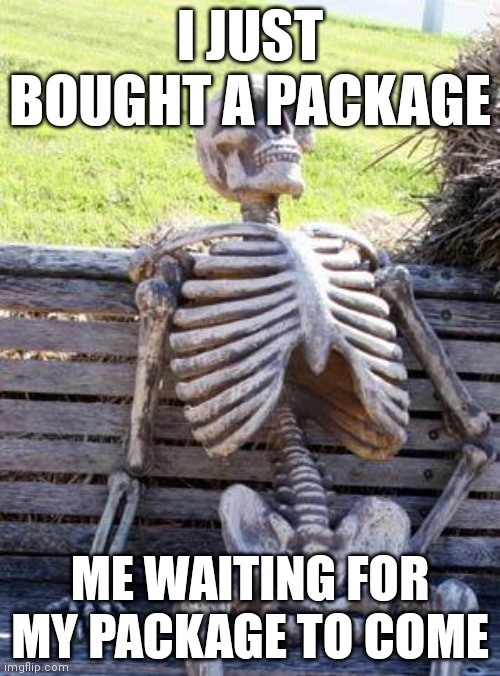 Waiting for package | I JUST BOUGHT A PACKAGE; ME WAITING FOR MY PACKAGE TO COME | image tagged in memes,waiting skeleton | made w/ Imgflip meme maker