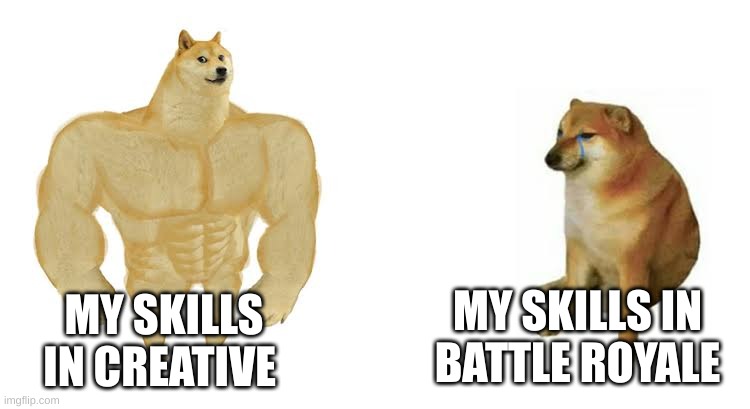 Strong doge weak doge | MY SKILLS IN BATTLE ROYALE; MY SKILLS IN CREATIVE | image tagged in strong doge weak doge | made w/ Imgflip meme maker