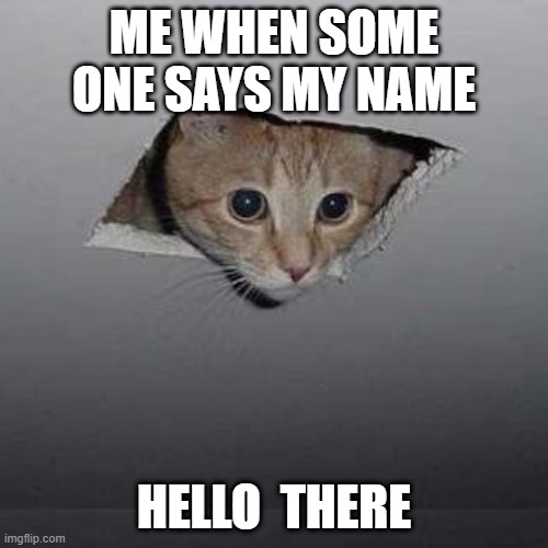 Ceiling Cat Meme | ME WHEN SOME ONE SAYS MY NAME; HELLO  THERE | image tagged in memes,ceiling cat | made w/ Imgflip meme maker