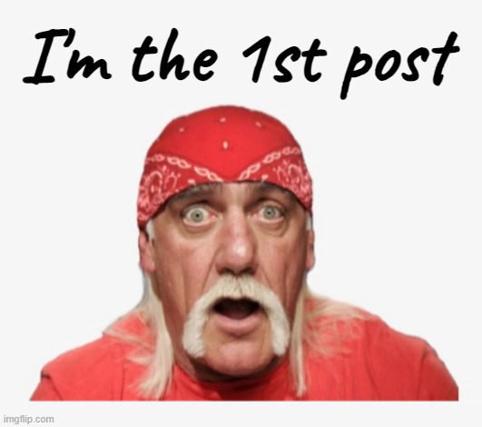 Hull Cogan | I'm the 1st post | image tagged in hull cogan | made w/ Imgflip meme maker