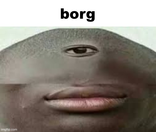 borg | borg | image tagged in shitpost | made w/ Imgflip meme maker