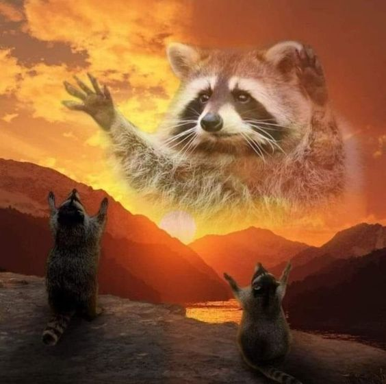 Raccoon God Blank Meme Template