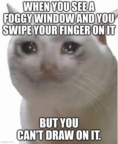 cryng cat | WHEN YOU SEE A FOGGY WINDOW AND YOU SWIPE YOUR FINGER ON IT; BUT YOU CAN'T DRAW ON IT. | image tagged in cryng cat | made w/ Imgflip meme maker