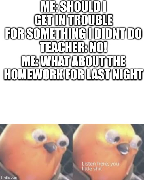 now listen here | ME: SHOULD I GET IN TROUBLE FOR SOMETHING I DIDNT DO
TEACHER: NO! ME: WHAT ABOUT THE HOMEWORK FOR LAST NIGHT | image tagged in listen here you little shit bird | made w/ Imgflip meme maker