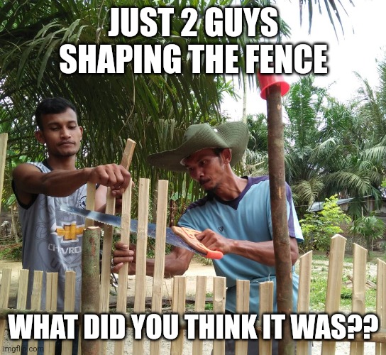 ball | JUST 2 GUYS SHAPING THE FENCE; WHAT DID YOU THINK IT WAS?? | image tagged in days is | made w/ Imgflip meme maker
