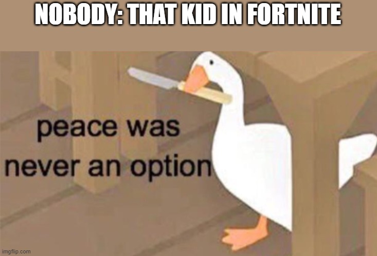 Untitled Goose Peace Was Never an Option |  NOBODY: THAT KID IN FORTNITE | image tagged in untitled goose peace was never an option | made w/ Imgflip meme maker