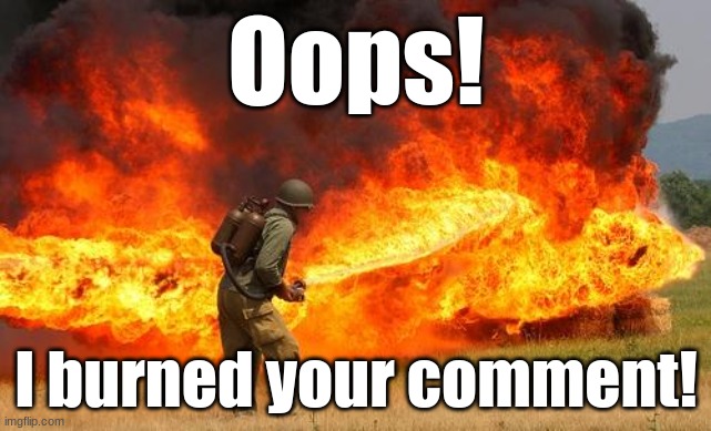 Nope flamethrower | Oops! I burned your comment! | image tagged in nope flamethrower | made w/ Imgflip meme maker