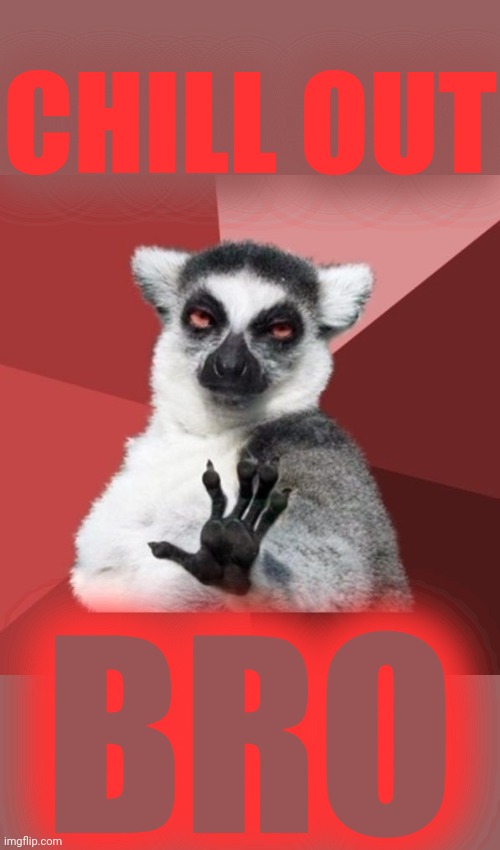 Chill Out Lemur | CHILL OUT; BRO | image tagged in memes,chill out lemur | made w/ Imgflip meme maker