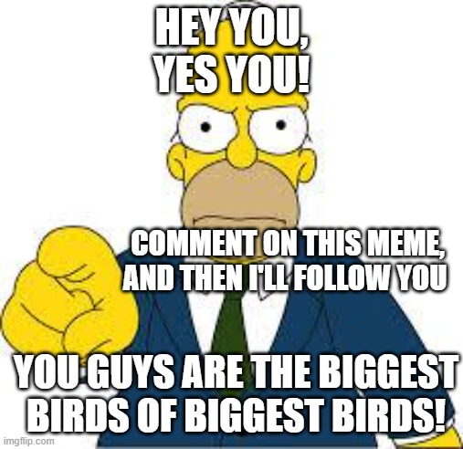 You da biggest bird of biggest birds | HEY YOU,
YES YOU! COMMENT ON THIS MEME, AND THEN I'LL FOLLOW YOU; YOU GUYS ARE THE BIGGEST BIRDS OF BIGGEST BIRDS! | image tagged in hey you | made w/ Imgflip meme maker